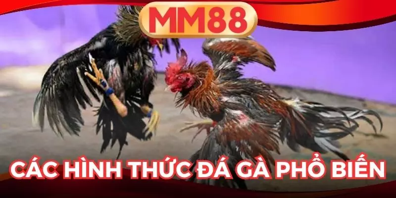 Đá gà