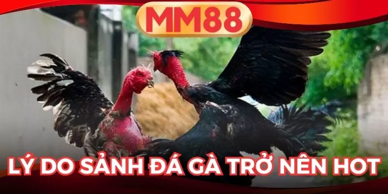 Đá gà